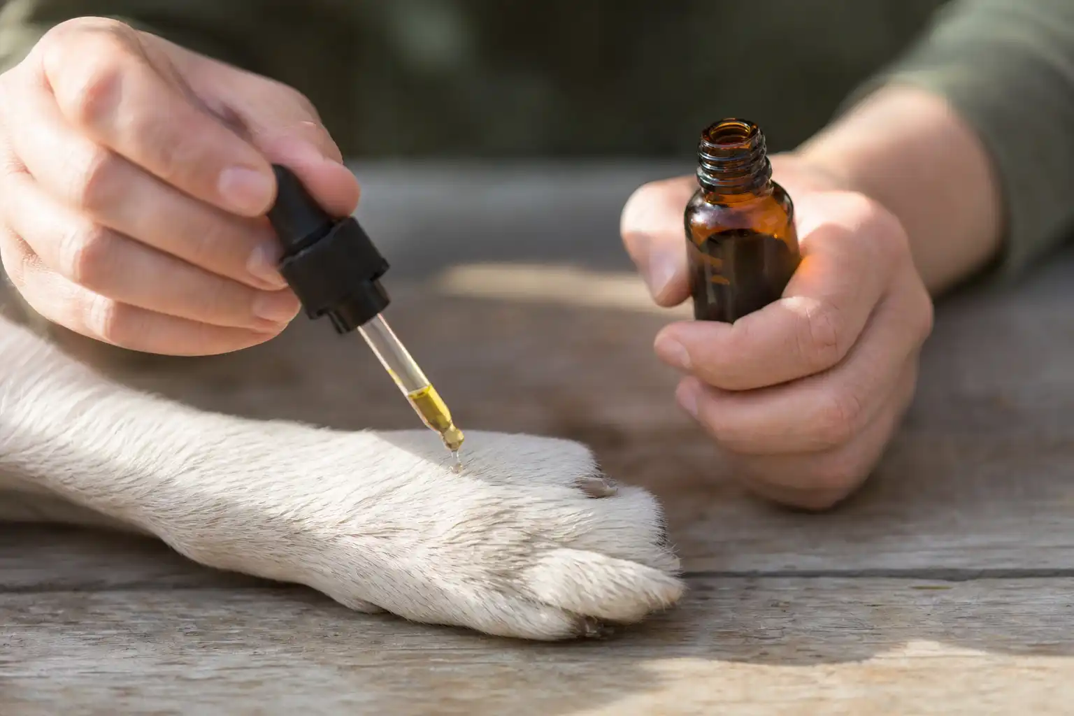 Des mains disposent un objet, autour de cbd animaux avant, près d'une table en bois.